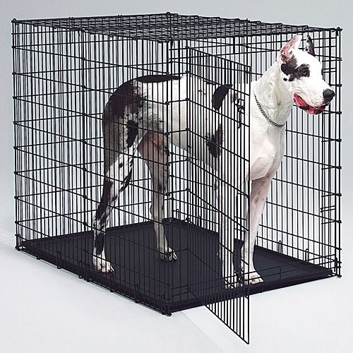 MidWest XXLarge Dog Crate
