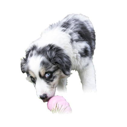 Puppy KONG Rubber Toy