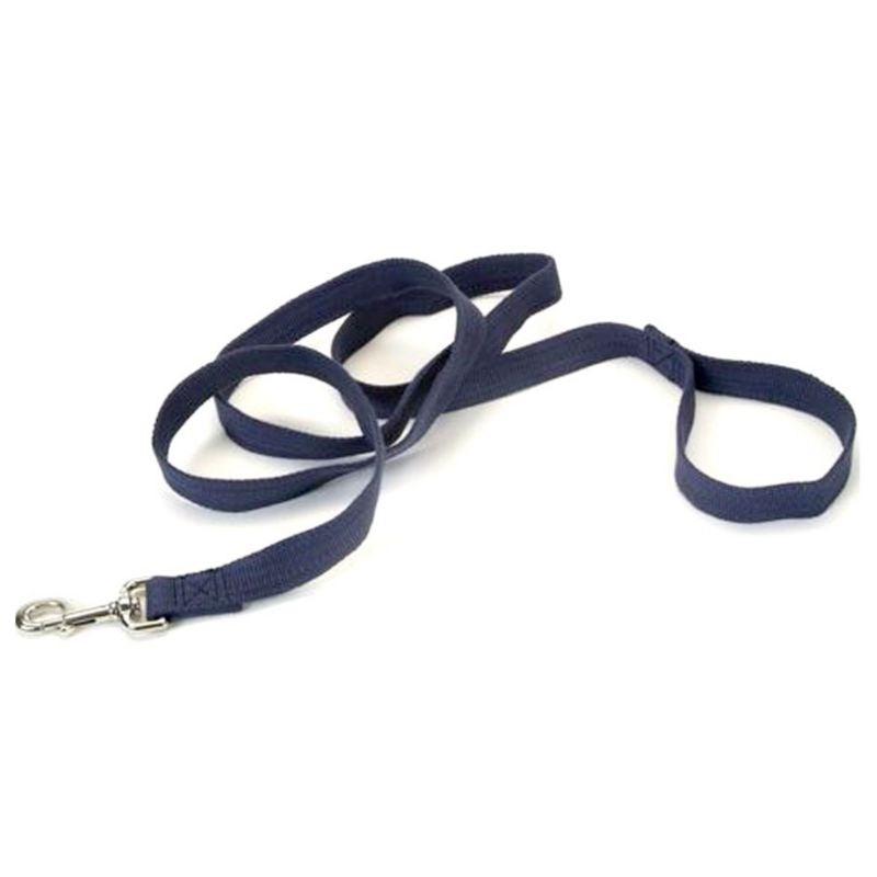 Personalized Soy Dog Lead