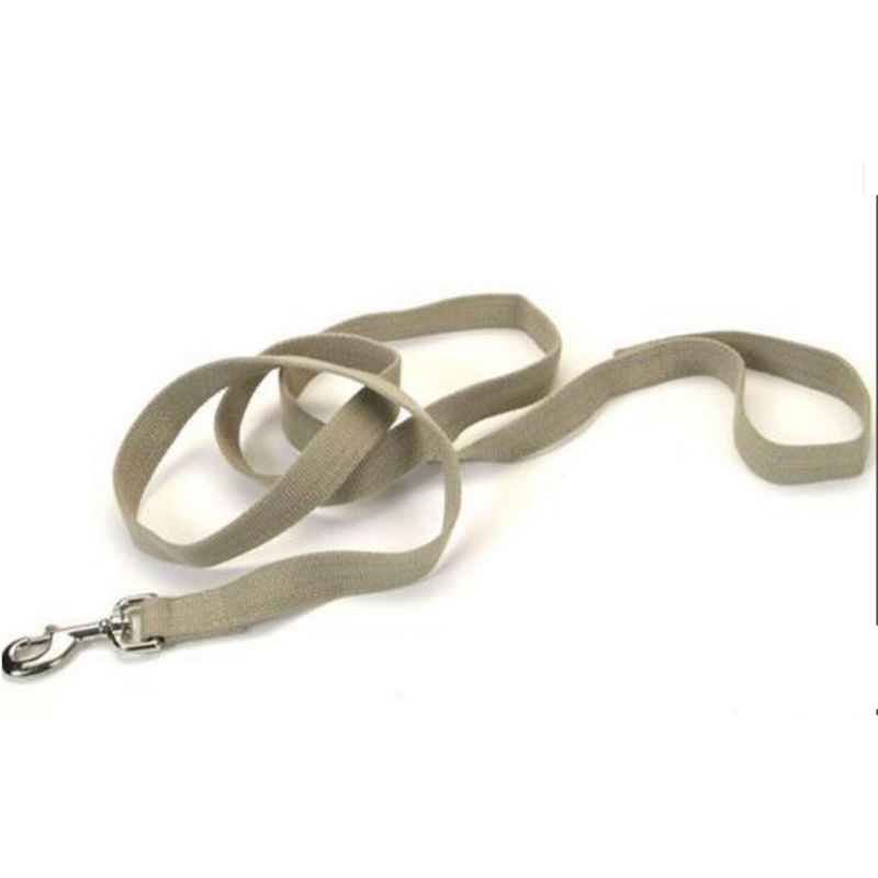Personalized Soy Dog Lead
