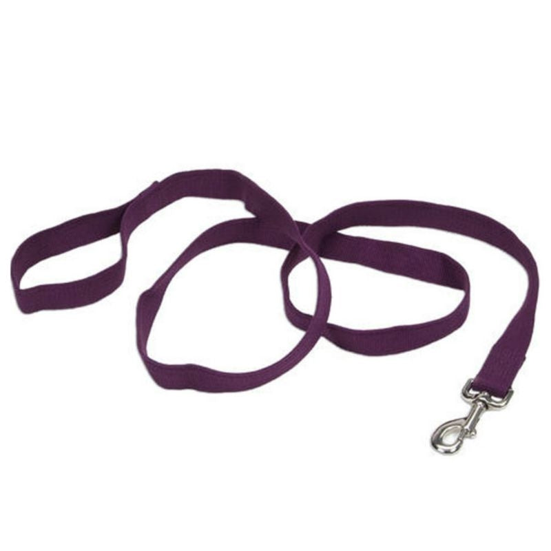 Personalized Soy Dog Lead