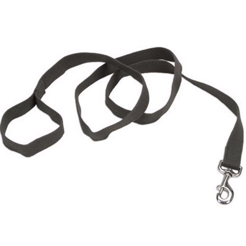 Personalized Soy Dog Lead