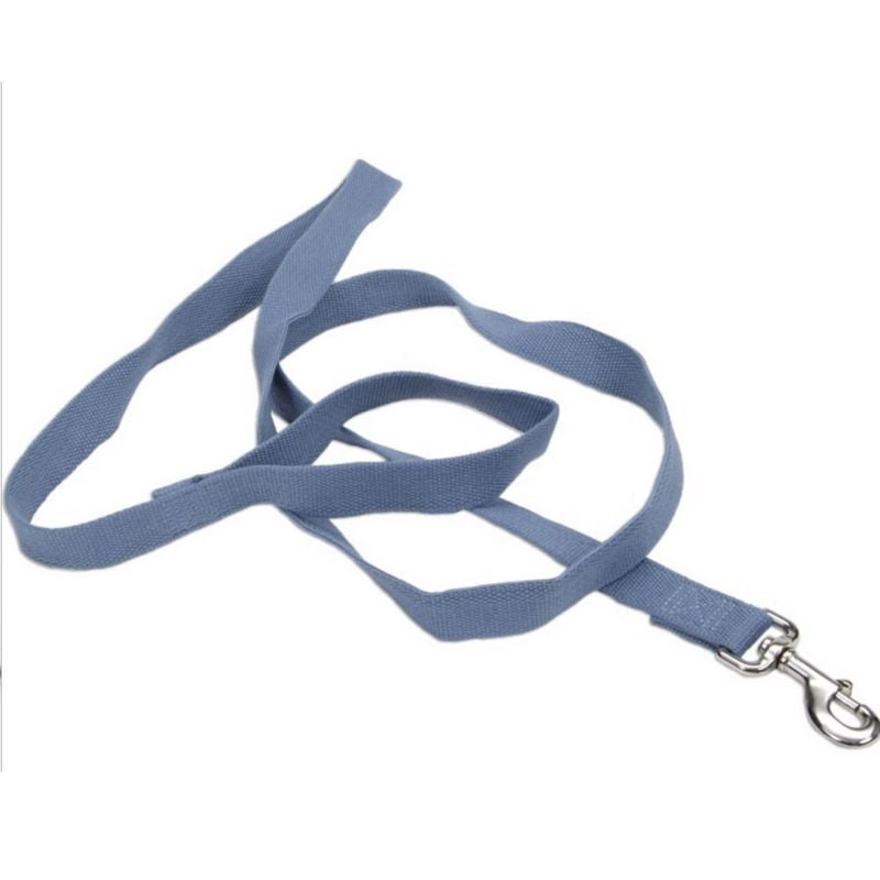 Personalized Soy Dog Lead