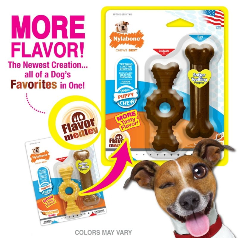 Nylabone Puppy Chew Textured Ring n Bone2pk