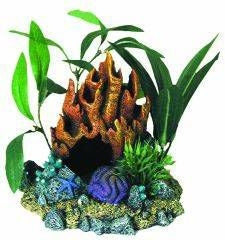 Blue Ribbon Fire Coral Cave with Plants