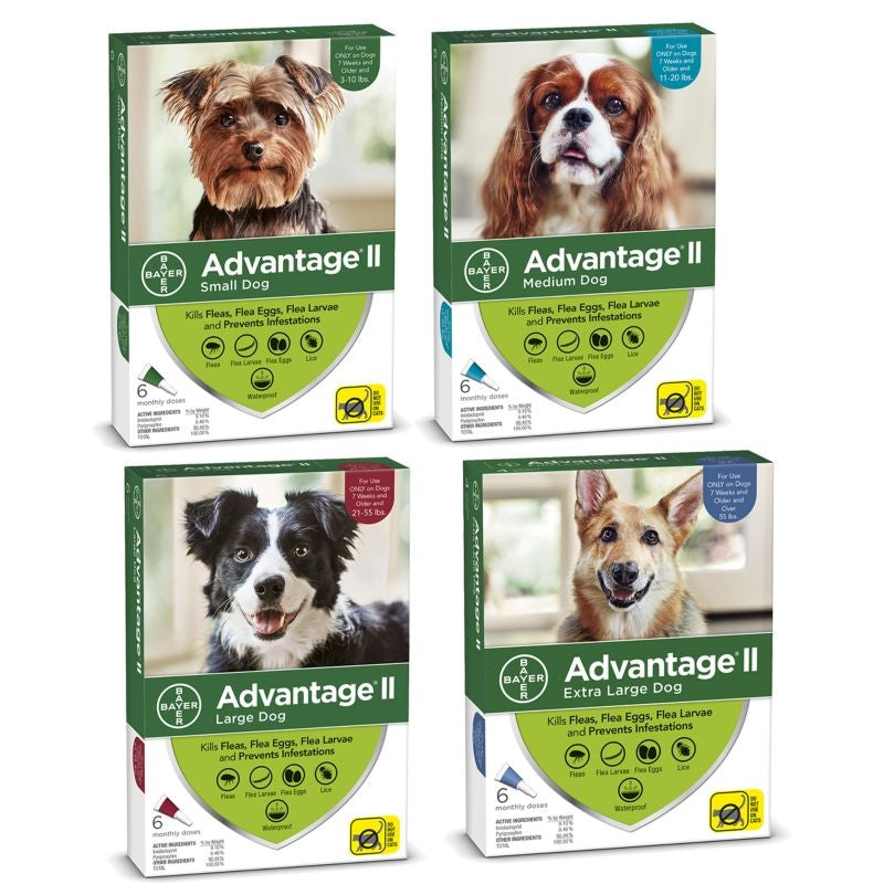 Advantage II for Dogs 4-Month Supply