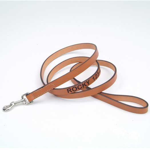 Personalized 6ft Leather Dog Lead