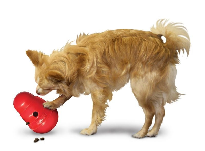 KONG Wobbler Treat Dispensing Dog Toy