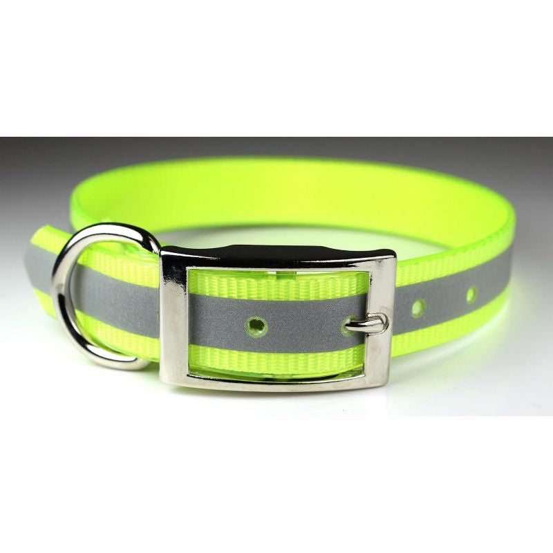 SunGlo Reflective Dog Collar