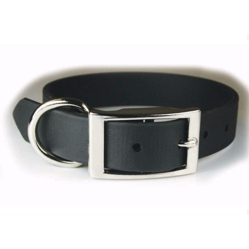 Zeta Poly Vinyl Coated Dog Collar