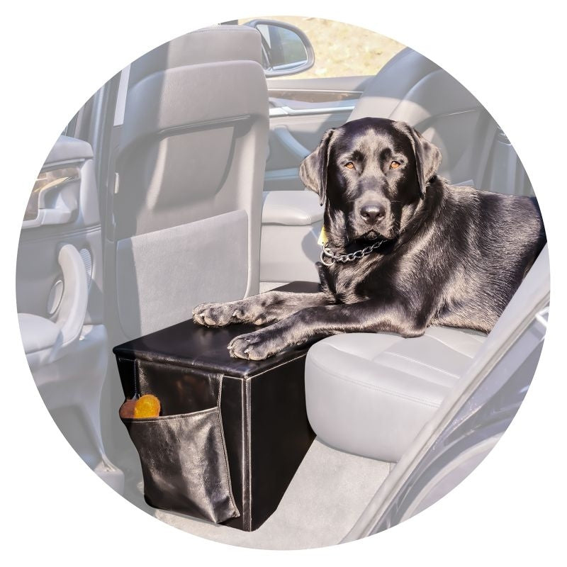 Pet Therapeutics Voyager Sturdy Backseat Extender