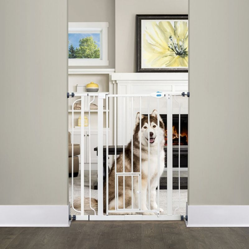 Extra Tall Walk Thru Gate with Pet Door