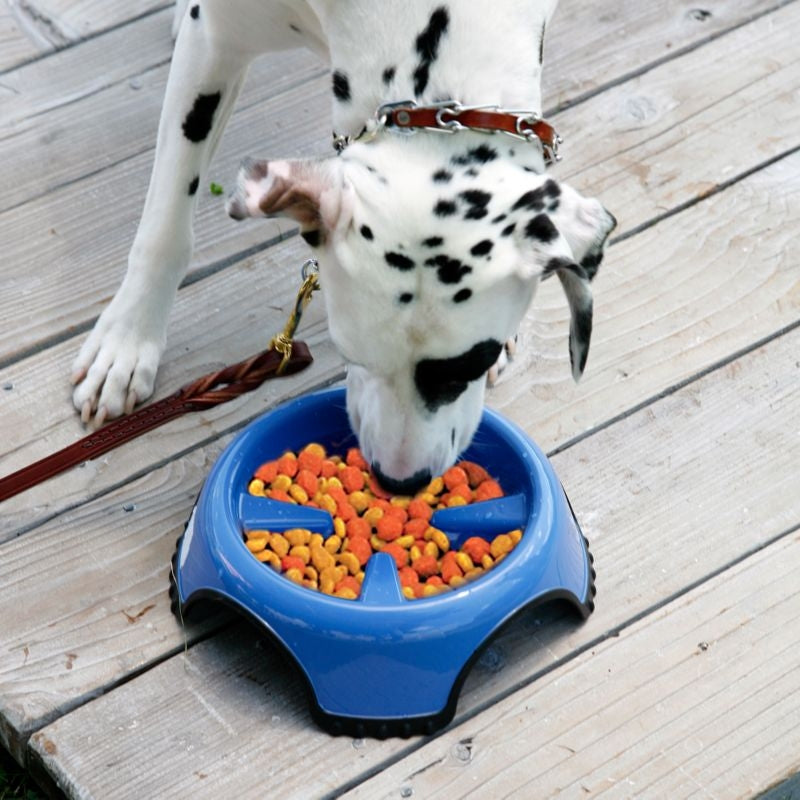 JW Pet Skidstop Slow Feed Pet Bowl