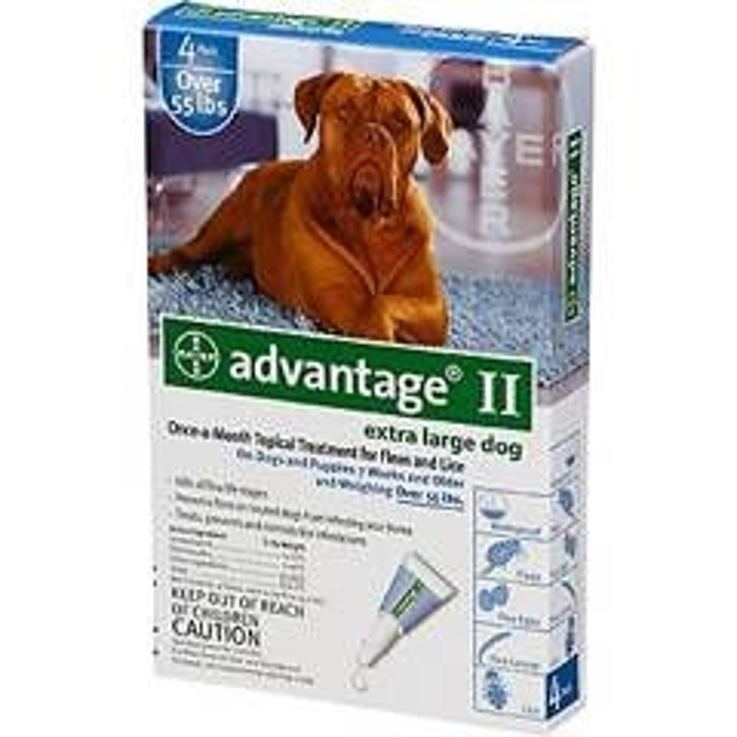 T496019_189657_01.jpg