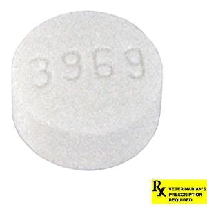 Metronidazole Tablets 250mg