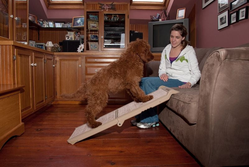 Pet Gear Carpeted Short Bi-Fold Pet Ramp