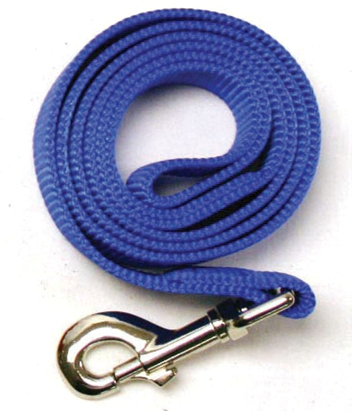 Leather Brothers Nylon Dog Leash