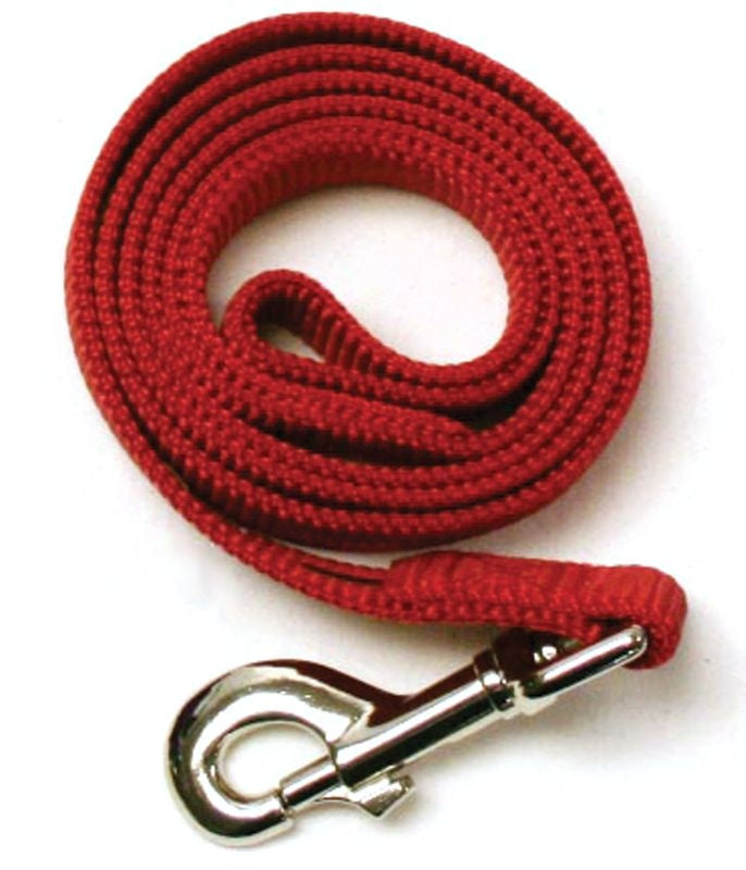 Leather Brothers Nylon Dog Leash