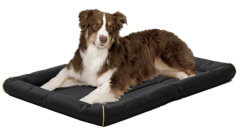 Midwest Quiet Time Maxx Pet Bed