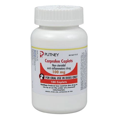 Carprofen/Carprovet for Dogs