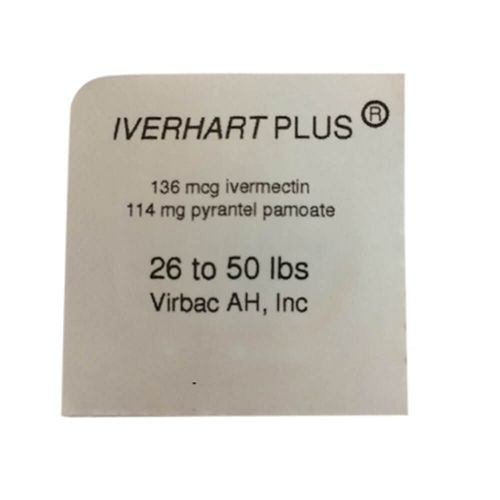 Iverhart Plus Dog