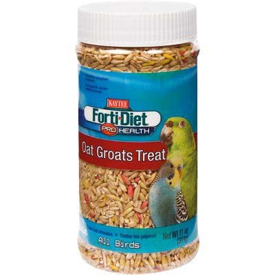 Kaytee Fiesta Treat Jar 8oz Nuts And Cherries