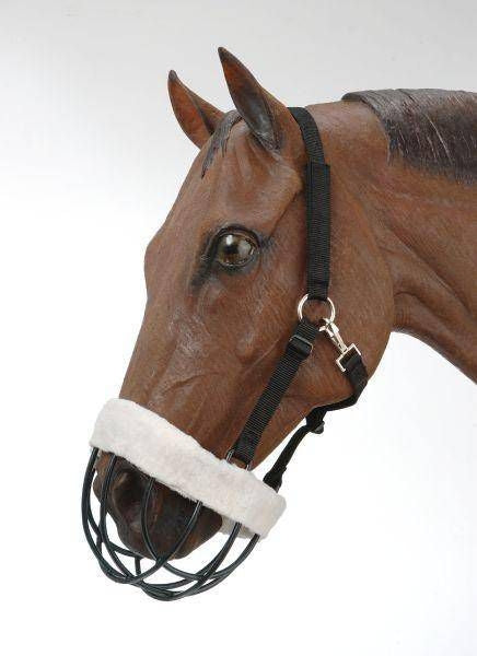 Tough1 Freedom Muzzle with Headstall