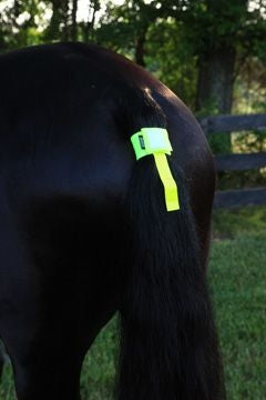 Roma Reflective Tail Band