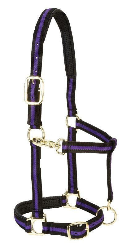 Weaver Leather Padded Adjustable Halter
