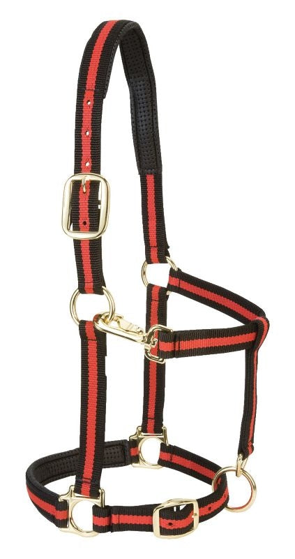 Weaver Leather Padded Adjustable Halter