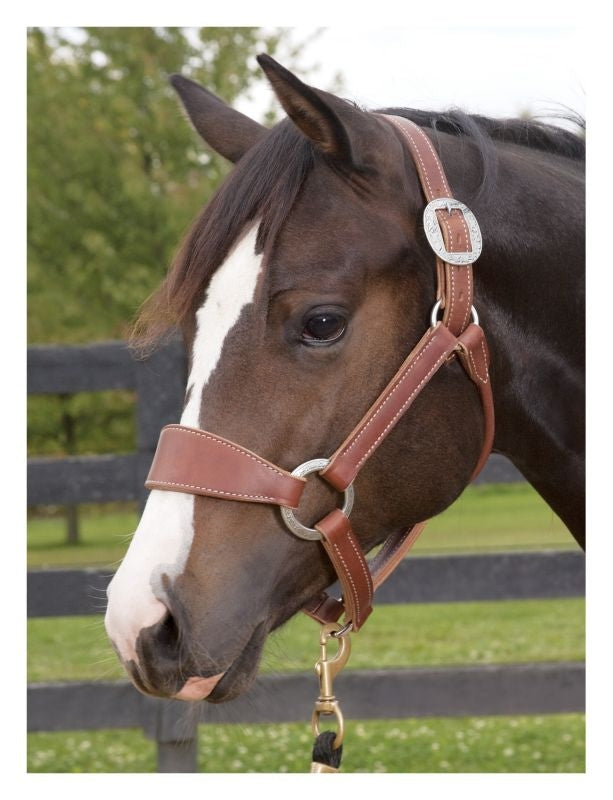 Weaver Stacy Westfall Bronc Halter