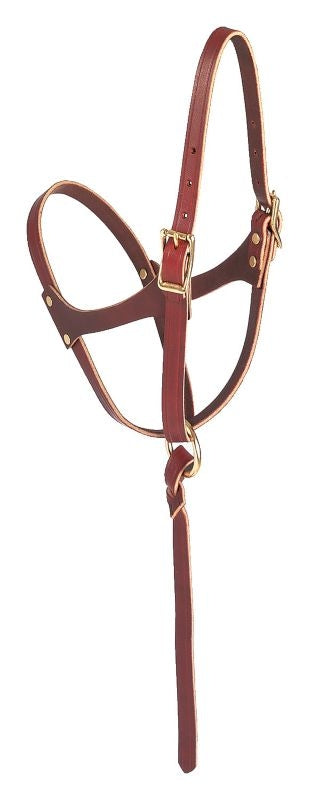 Weaver Figure 8 Foal Halter
