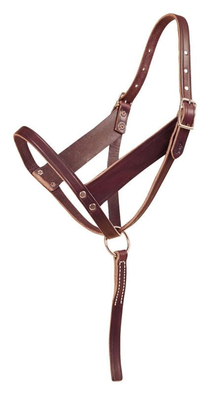 Tory Wide Cheek Leather Foal Slip Halter