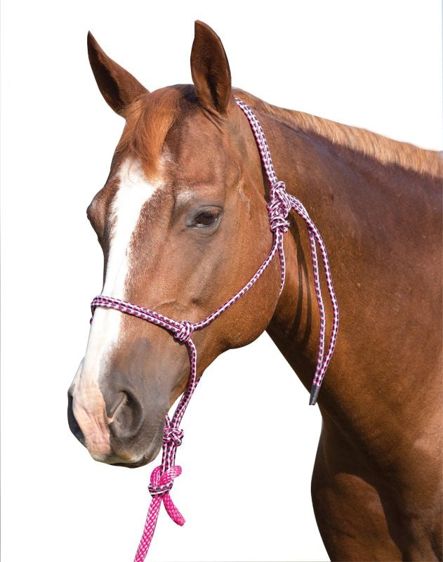 Mustang Economy Mountain Rope Halter