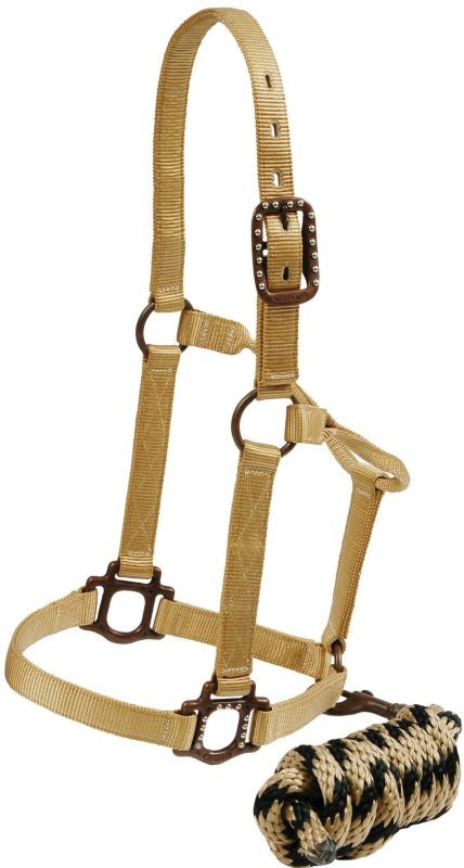 Mustang Antique Dot Halter with Lead