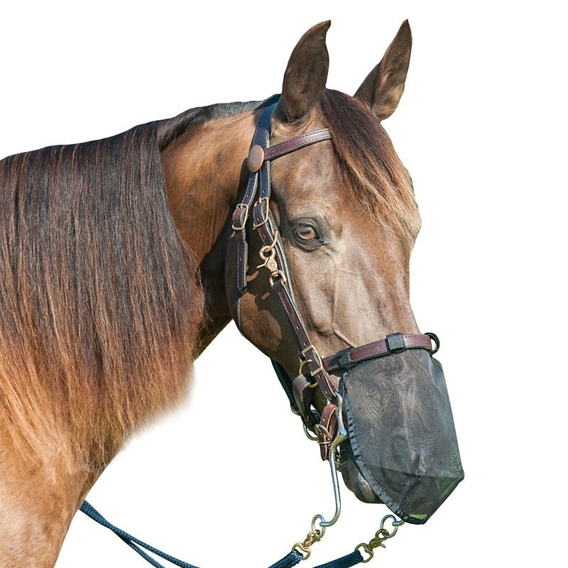 Cashel Quiet Ride Nose Net