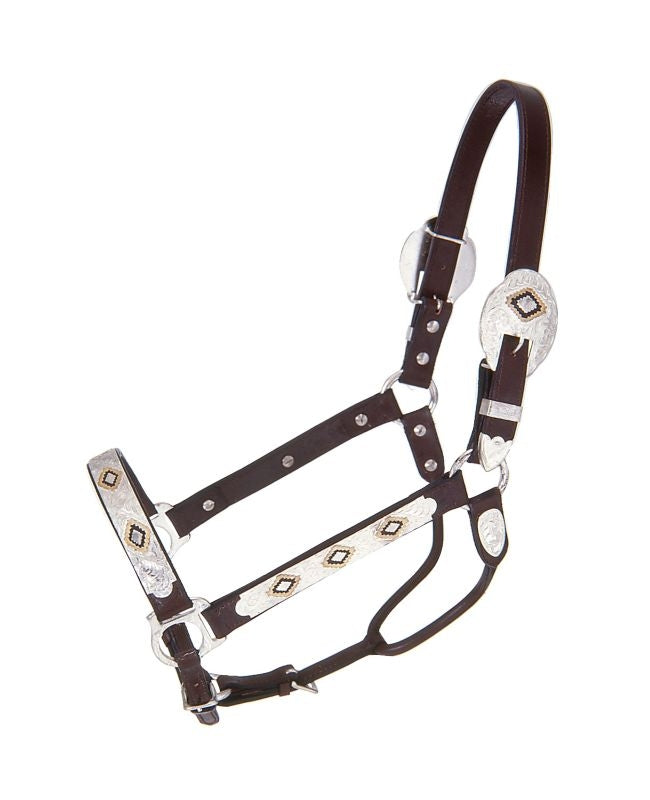 Royal King Gold and Black Inlay Show Halter