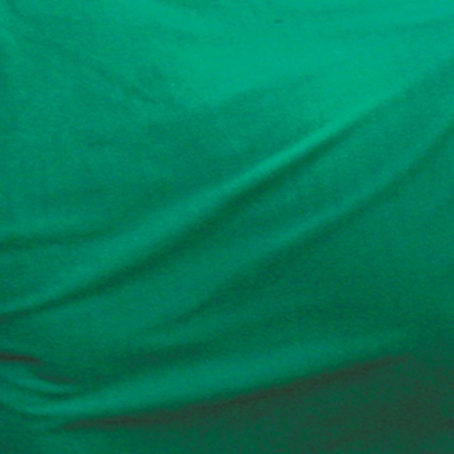 TE003236_230012.jpg