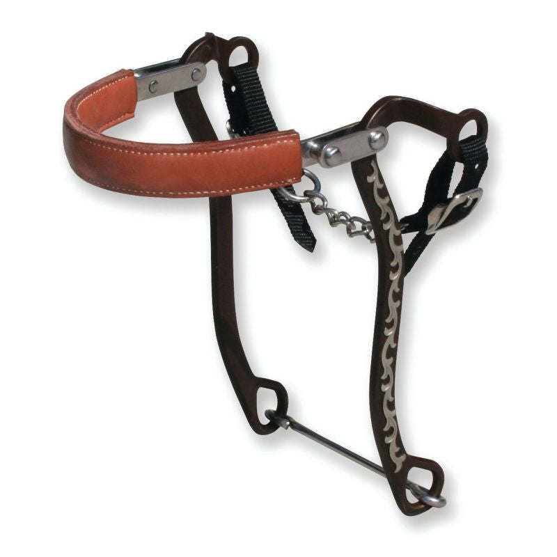 Bob Avila MI Silver Floral Hackamore