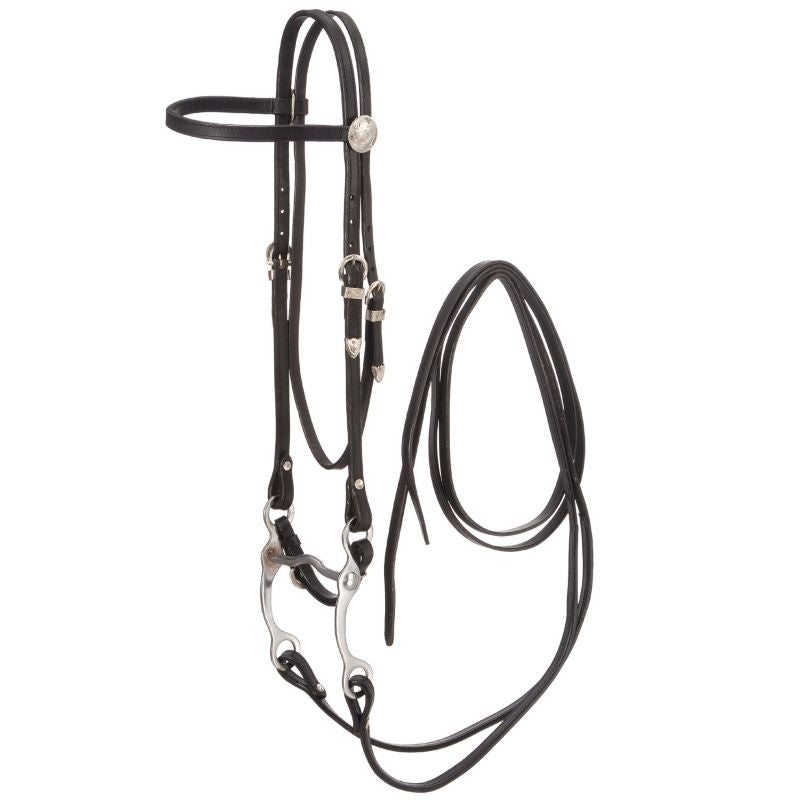 Royal King Basic Show Headstall Set