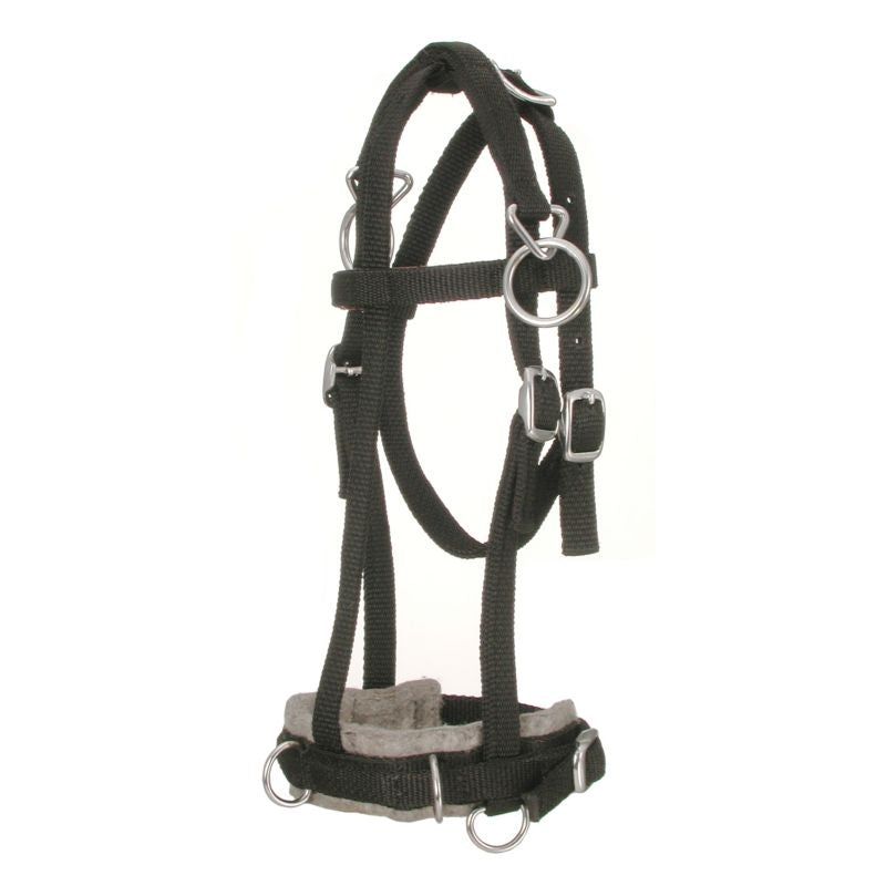 Tough1 Miniature Horse Nylon Training Caveson