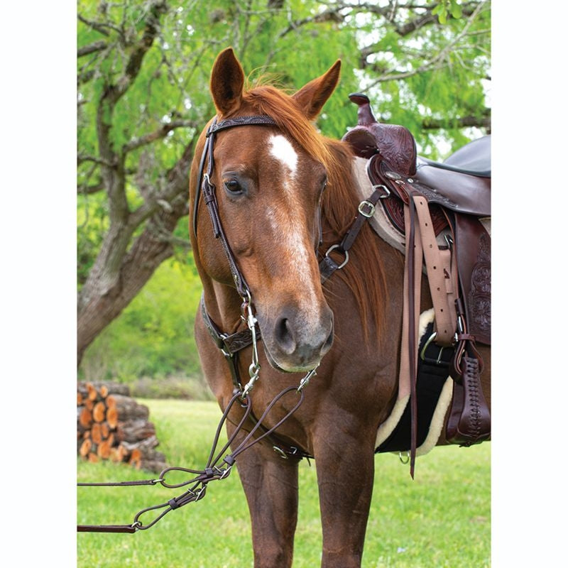 Circle Y Floral Tooled Browband Headstall