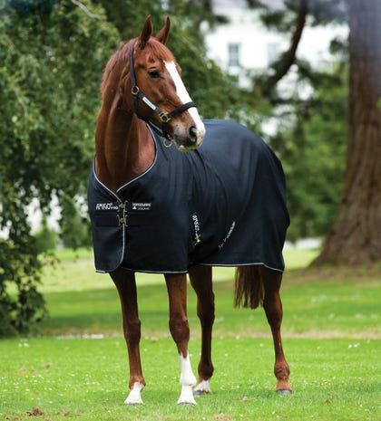 Amigo Mio Stable Sheet