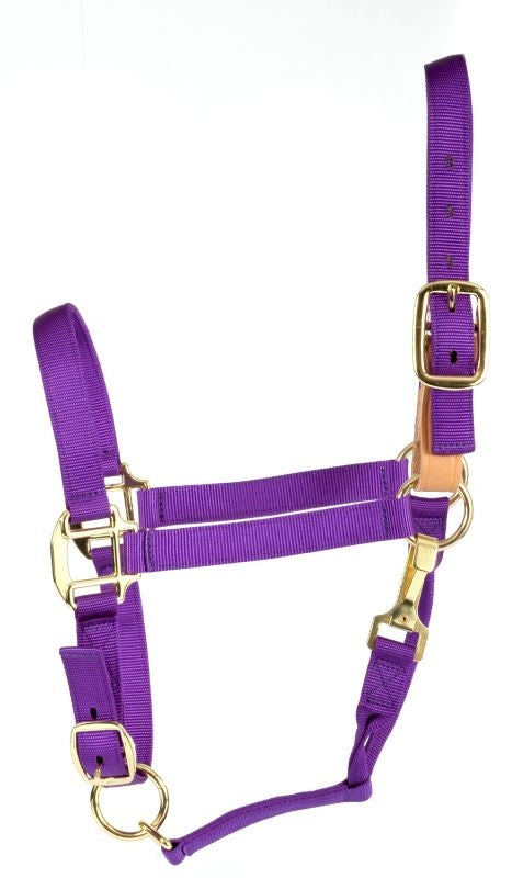 Deluxe Breakaway Fuse 3-Ply Nylon Halter with Snap