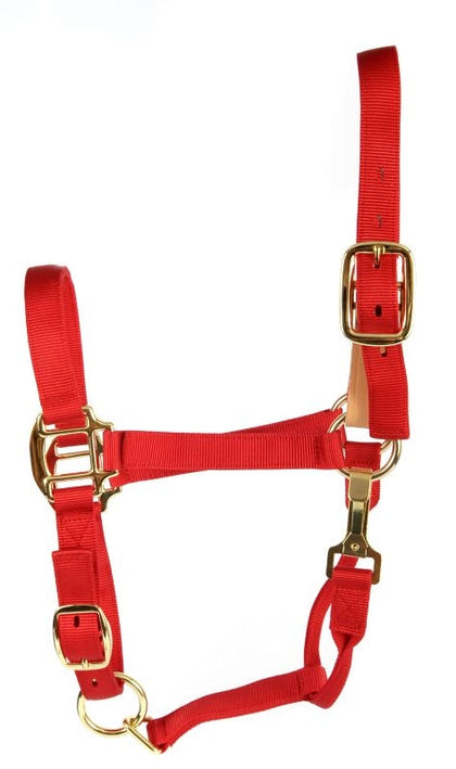 Deluxe Breakaway Fuse 3-Ply Nylon Halter with Snap