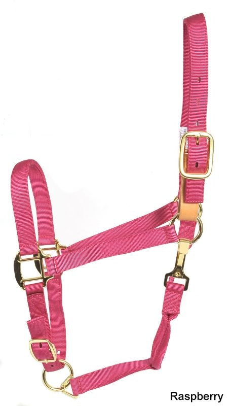 Deluxe Breakaway Fuse 3-Ply Nylon Halter with Snap