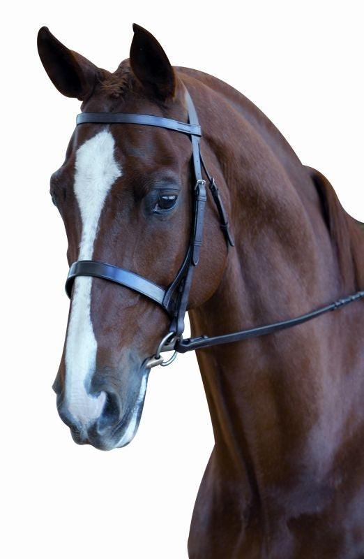 Kincade Hunt Bridle