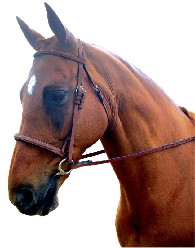 Kincade Padded Fancy Stitched Bridle