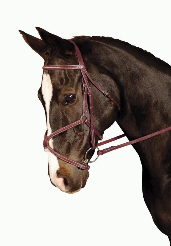 Kincade Figure Eight Bridle