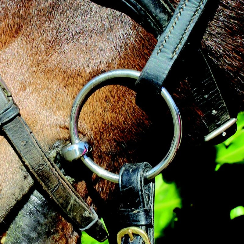 Gina Miles Loose Ring Waterford Bit
